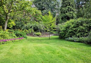 Optimiser l'expérience du jardin à Roucourt